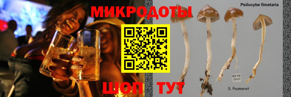 Псилоцибиновые грибы MAGIC MUSHROOMS  Вход с VPN  Псилоцибиновые грибы Psilocybe  Янаул 